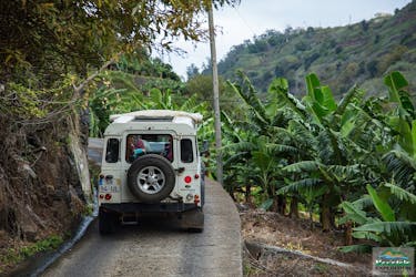 Madeira 4×4 tour from Funchal to the west and Fanal Forest